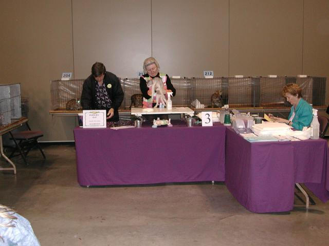 Austin Cat Fanciers 2003 show