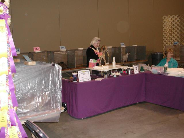 Austin Cat Fanciers 2003 show