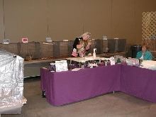 Austin Cat Fanciers 2003 show