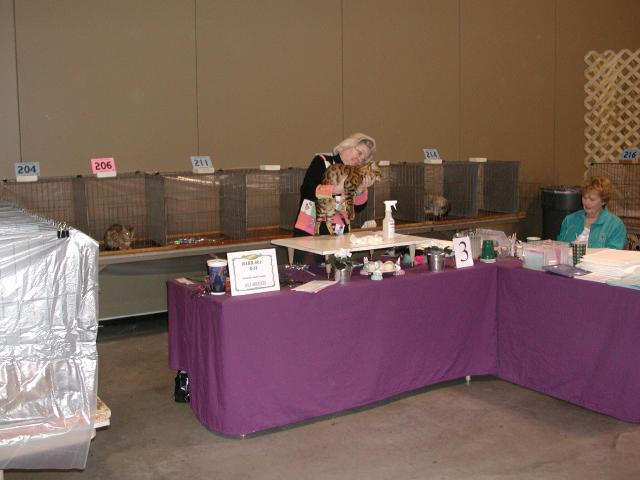 Austin Cat Fanciers 2003 show