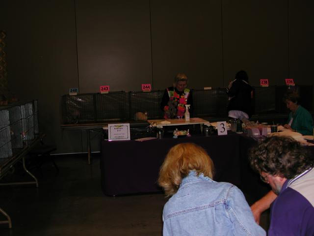 Austin Cat Fanciers 2003 show