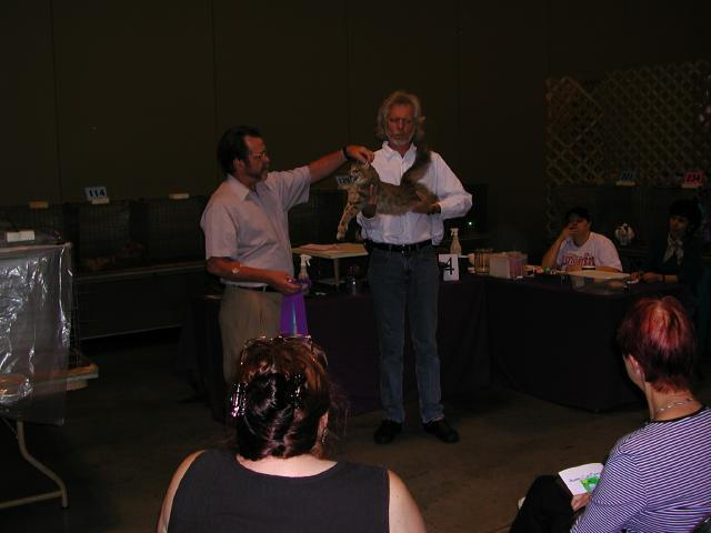 Austin Cat Fanciers 2003 show