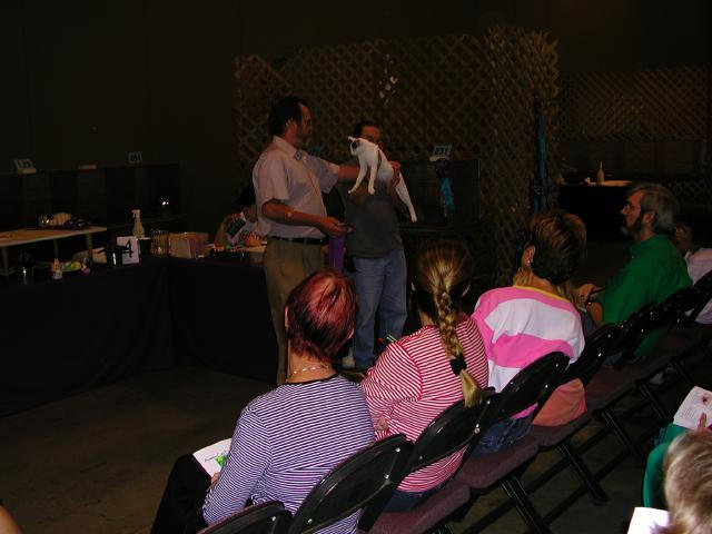 Austin Cat Fanciers 2003 show