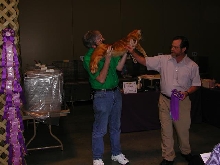 Austin Cat Fanciers 2003 show