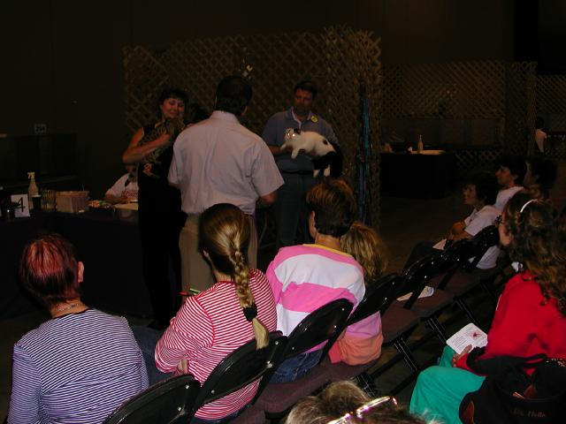 Austin Cat Fanciers 2003 show