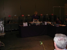 Austin Cat Fanciers 2003 show