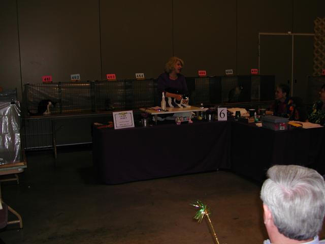 Austin Cat Fanciers 2003 show