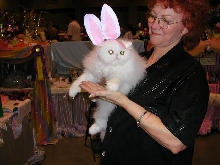 Austin Cat Fanciers 2003 show