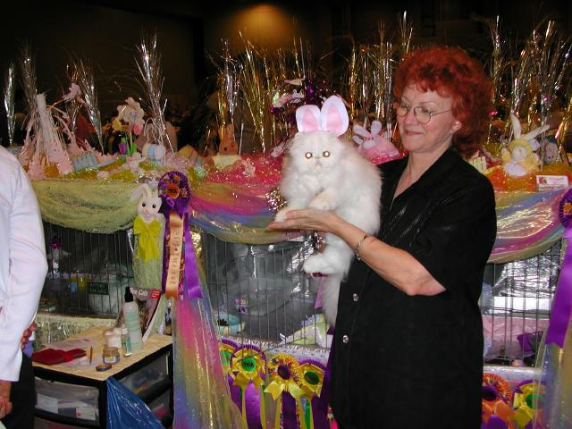 Austin Cat Fanciers 2003 show