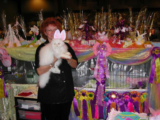 Austin Cat Fanciers 2003 show