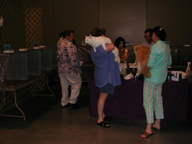 Austin Cat Fanciers 2003 show