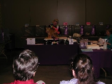 Austin Cat Fanciers 2003 show