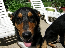 rocky