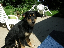 dudley