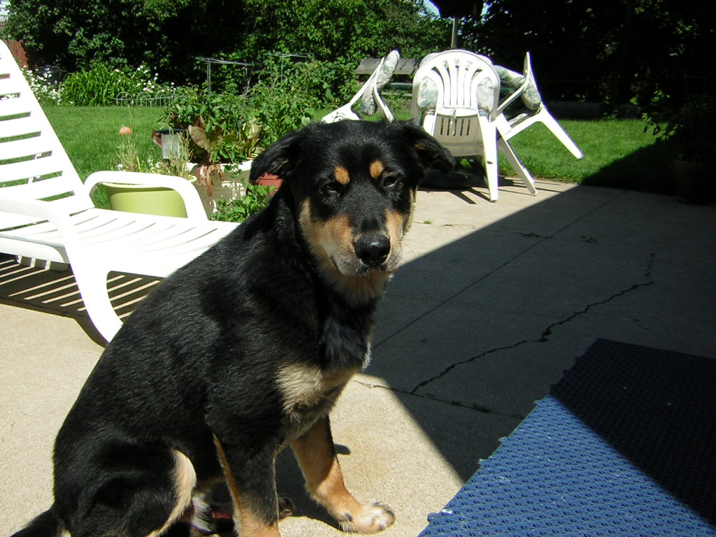dudley
