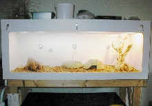 6' X 2' X 2' Melamine BRB Cage