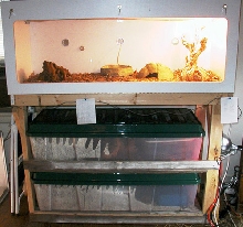 BRB Cage with Rubbermaid Rack in Stand
