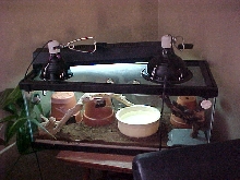boa cage