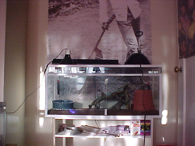 new cage