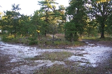 Habitat