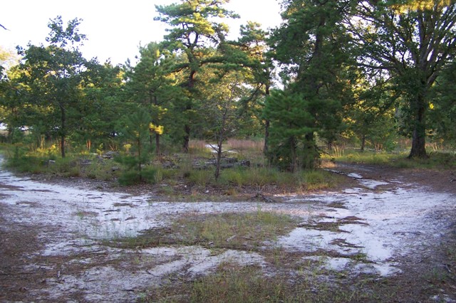 Habitat