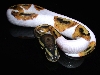 '05 Pied