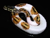 After First Shed