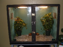 Enclosures for Crested Geckos
