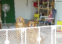Nicolas & Buddy Bear