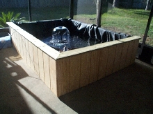 Turtle Pond