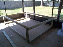 1st step pond