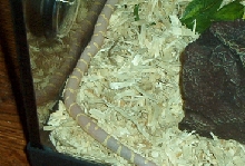 July is camera shy