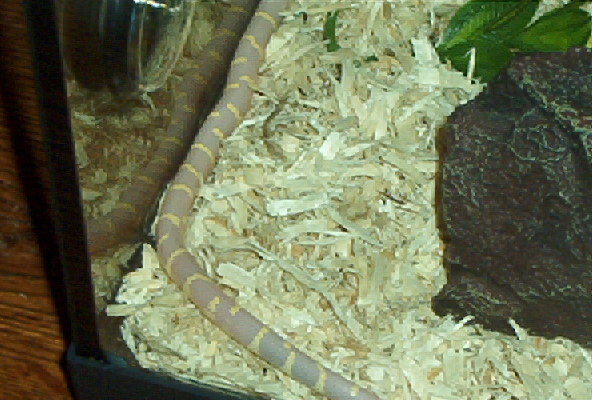 July is camera shy