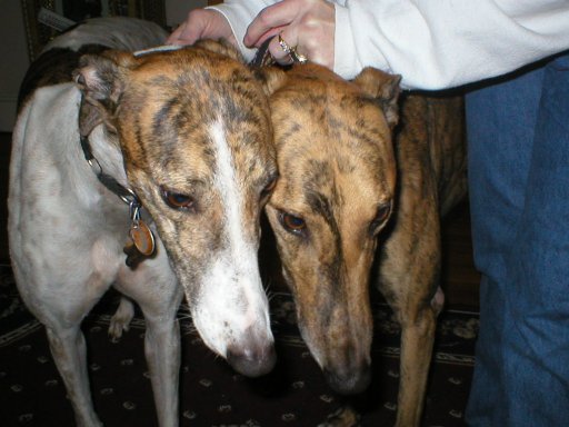 brother and sister