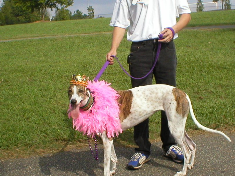 Diva and dad