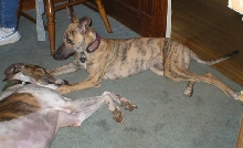wylie&Jeopardy