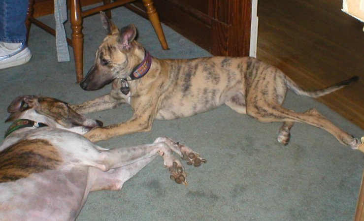 wylie&Jeopardy