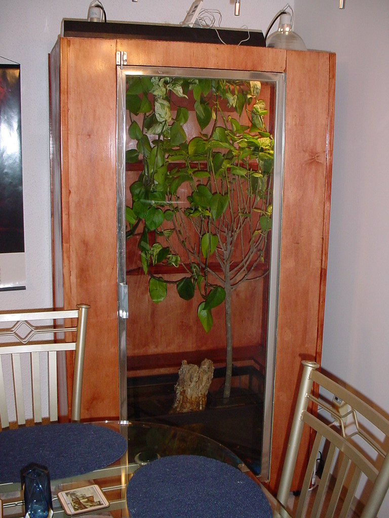 Waterdragon Cage
