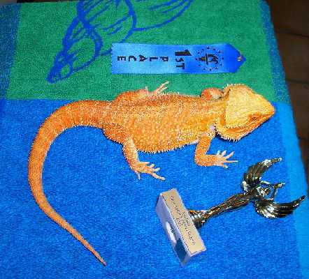 CAYENNE