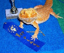 Cayenne and trophy close up