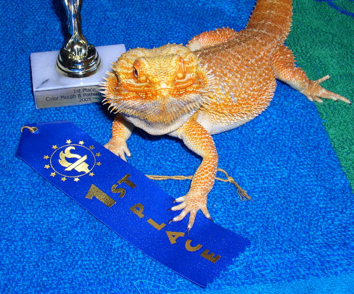 Cayenne and trophy close up