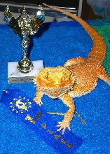 Cayenne and trophy portrait