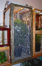 Chameleon cage