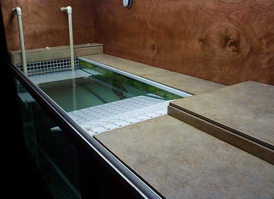 TopViewTile