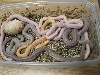 bullsnake triple het clutch