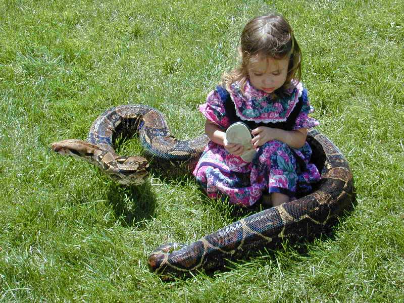 Daughter & Boa