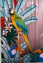 Julio Valentino