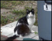 Here's Mozi