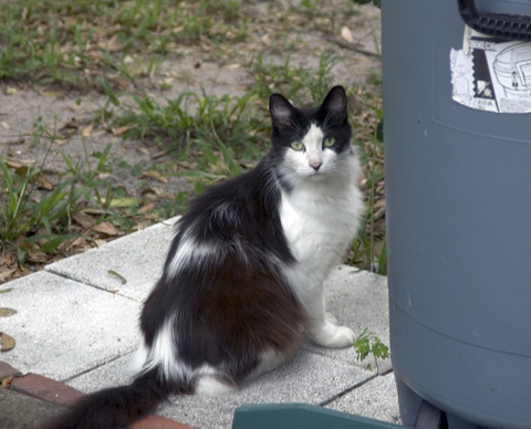 Here's Mozi