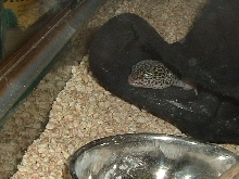caught snoozin!